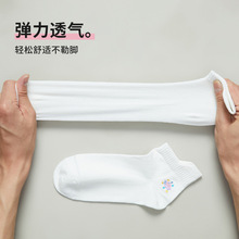 俞兆林5双100%纯棉袜子女士休闲棉袜短袜提耳袜不易掉跟纯色女袜