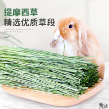 提摩西草垫料2021提摩西草段猪龙猫吃的粮食嫩草牧草零食兔子