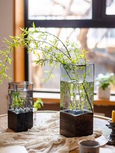 掬涵方口木托玻璃花瓶摆件透明水养鲜花干花客厅餐桌装饰花器
