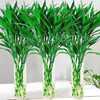 Bamboo Dracaena sanderiana Hydroponics Botany Potted plant Green plant flowers and plants indoor a living room Water to keep Scindapsus Steadily high wholesale