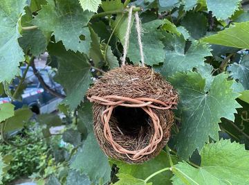 八哥鹦鹉鸟窝鸟巢鸟笼跨境草编户外鸟舍鸟具繁殖箱