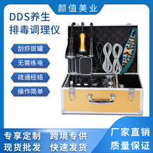 现货DDS生物电调理仪美容院刮痧拔罐微电按摩疏通经络针灸理疗仪