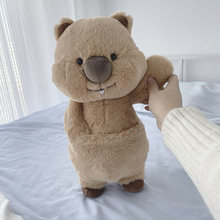 工厂直卖短尾矮袋鼠毛绒玩具 ins风澳洲玩偶微笑天使娃娃袋熊
