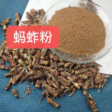 蝗虫粉蚂蚱粉蝗虫干蚂蚱干蚱蜢干粉自制鸟食原料