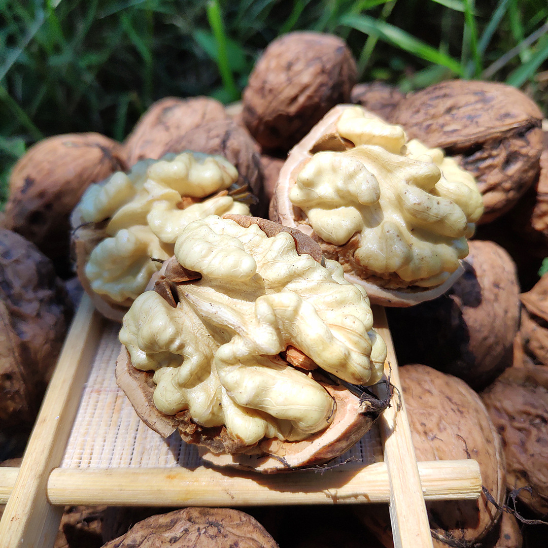 云南高山老树新鲜核桃5斤 新鲜去绿皮湿核桃