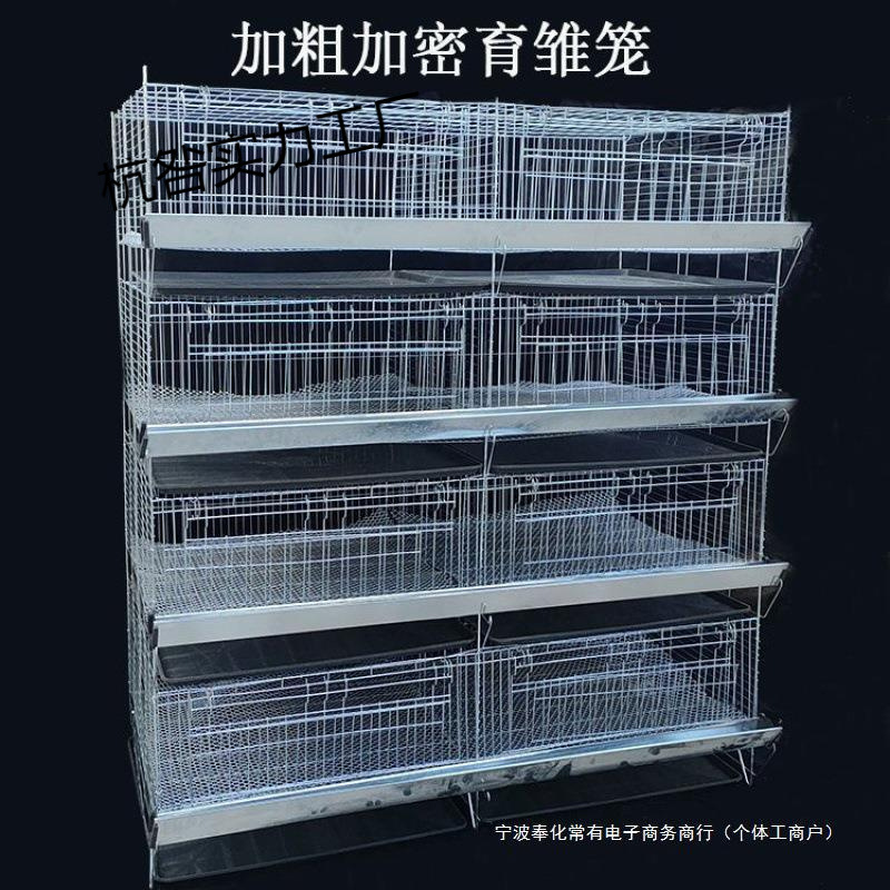 加粗加密小鸡笼育雏笼鸭子孔雀苗笼子4层一体式雏鸡小鸡小鸭鹅苗