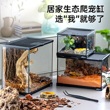 爬虫饲养箱爬虫守宫大型箱蜥蜴角蛙寄居蟹分析水陆爬宠套餐家养