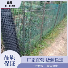 塑料网围栏养鸡养鸭网产地直供拦鸡网土工格栅网防护隔离网网格网
