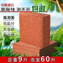 9斤大椰砖大块椰糠砖营养土多肉绿萝园艺耶土通用养花种菜专用土