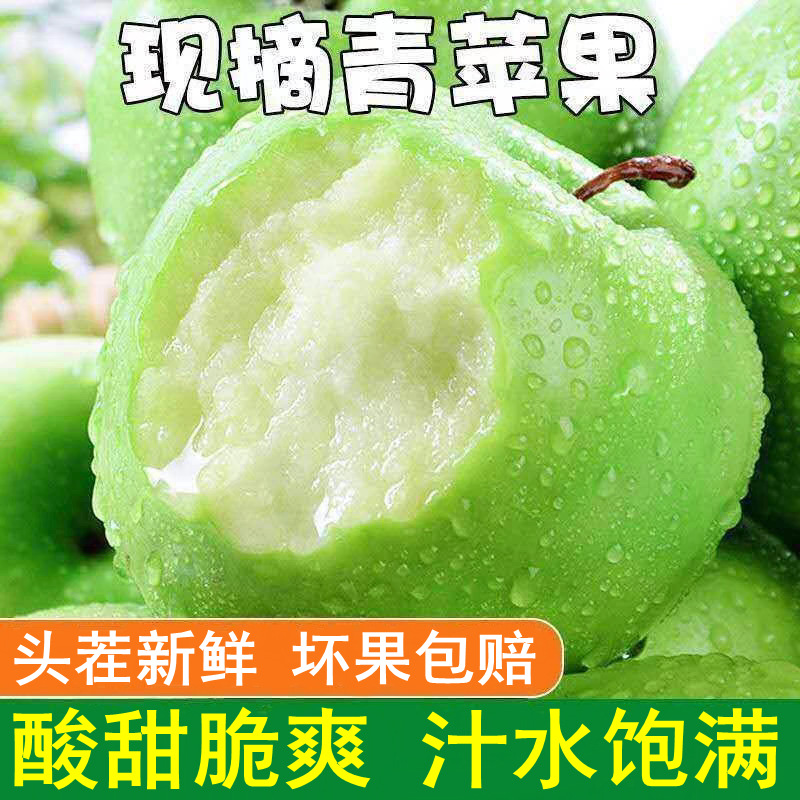 正宗青苹果酸甜当季新鲜孕妇水果陕西一整箱2-9斤批发非王林苹果