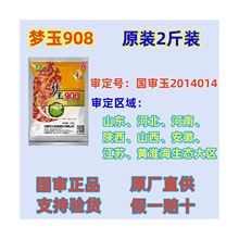 批发良玉99高产玉米种子大全国审正品矮杆双棒苞米种抗倒梦玉908