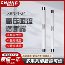 XRNP1-24/0.5A互感器保护用高压熔断器XRNP1-24KV/1A2A/PT保险管