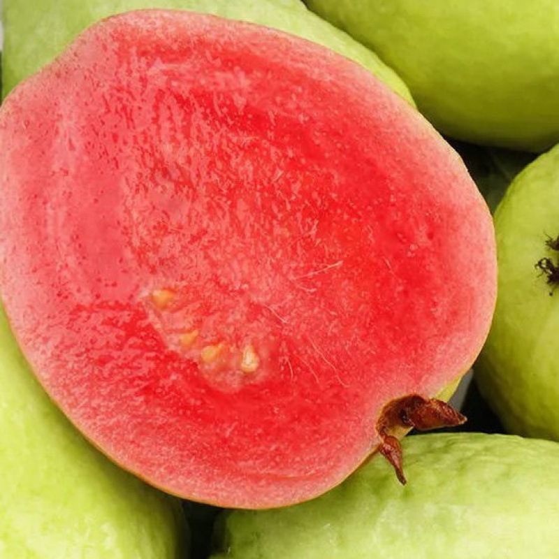 76成交2件相似正宗红宝石无籽少籽番