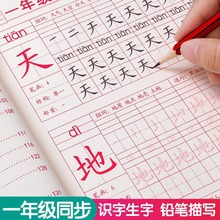 一年级二三四五六年级小学生练字帖同步语文课本生字描红练字本