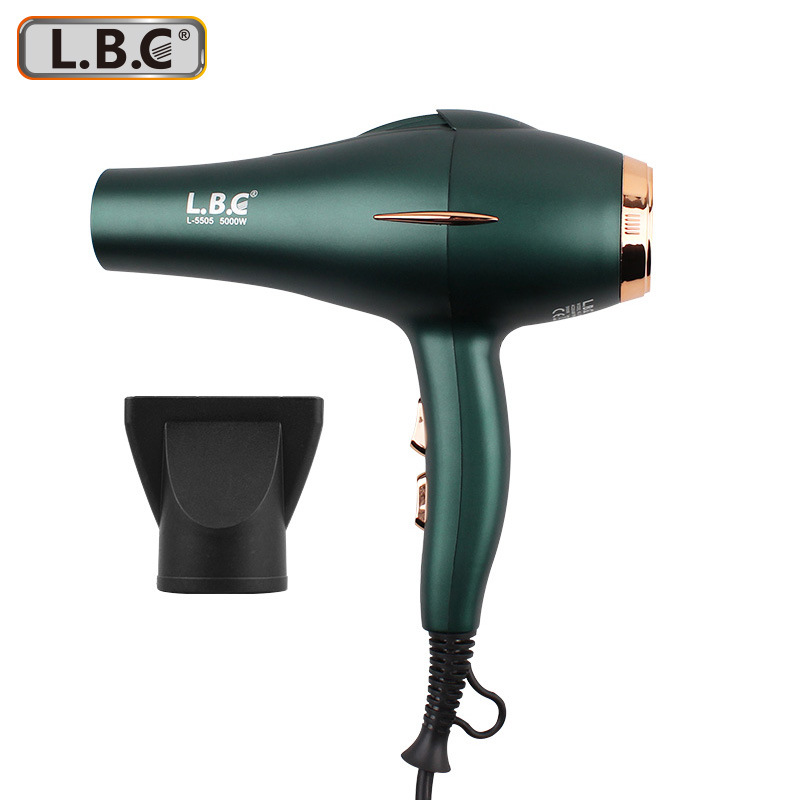 Cross-Border Hot Selling Hot Sale Hair Dryer Hotel for Hair Salon Hair Dryer Blue Light Anion High Power Hair Dryer