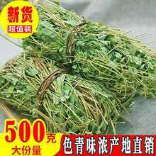 野生鸡骨草带叶鸡骨草藤鸡骨草叶新鲜干品煲汤泡茶中药材可切段