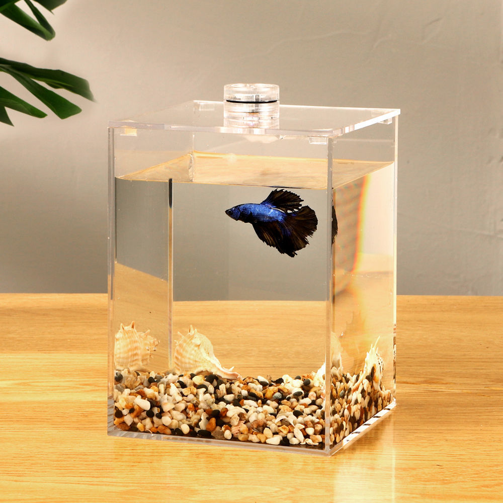 斗鱼鱼缸双格观赏鱼亚克力水族箱办公桌迷你造景创意生态繁殖缸