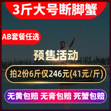 3斤10-12只固城湖大闸蟹特大鲜活残蟹断脚蟹残次蟹全公母螃蟹包邮