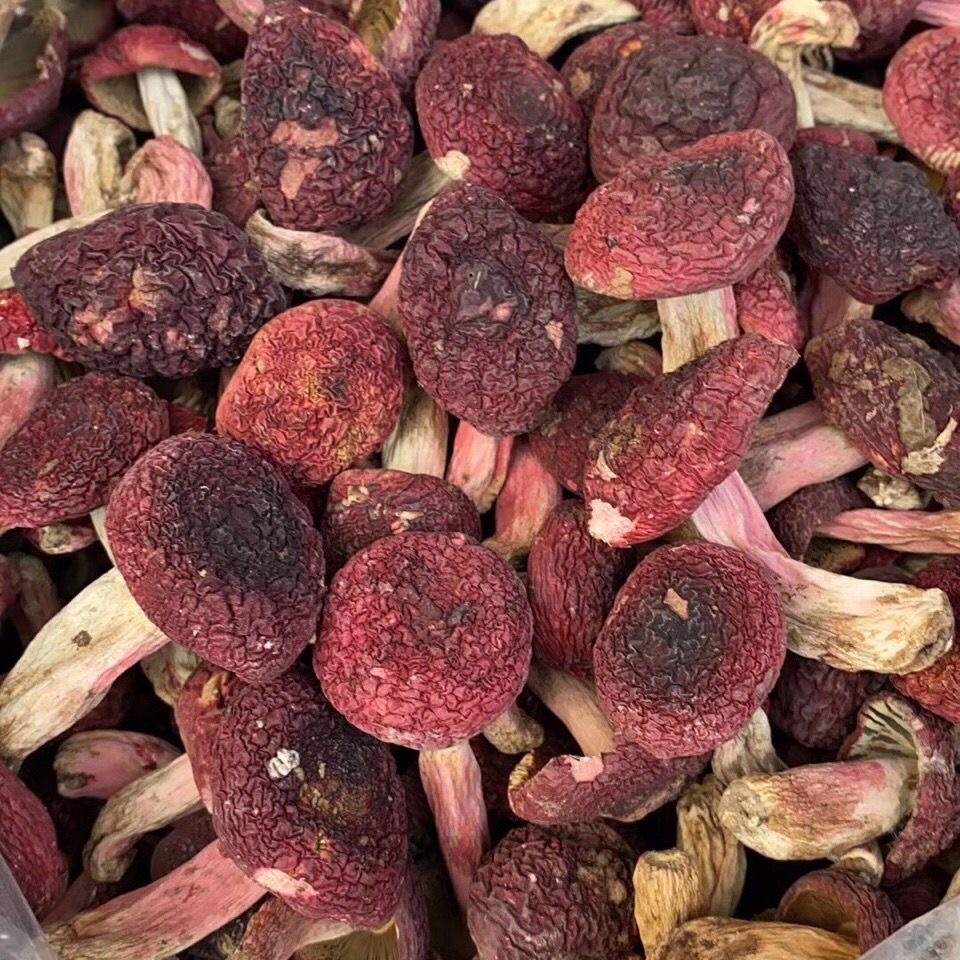 福建武夷山红菇野生红菇红蘑菇干货红菌干货滋补月子菇产地直销价