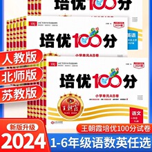 2024新版王朝霞试卷培优100分语数英人教版下册考点梳理时习卷