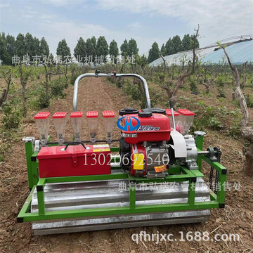 家用新型汽油款小粒种子精播机 自走式板蓝根苍术精量播种机 弘瑞