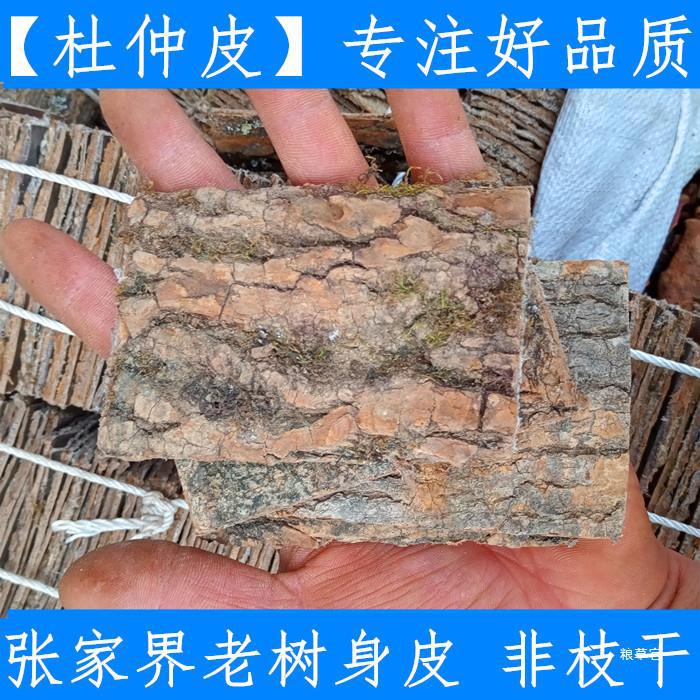 原料杜仲皮 1斤新鲜干货杜仲生杜仲无硫500克真货好货-阿里巴巴