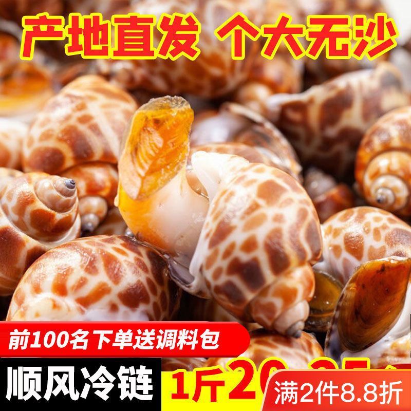 速冻新鲜特大花螺冷冻鲜活海螺活冻香螺麻辣即食捞汁成品商用批发