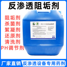 东昇DS701反渗透膜阻垢剂BF106蓝旗缓蚀阻垢水处理药剂锅炉除垢剂