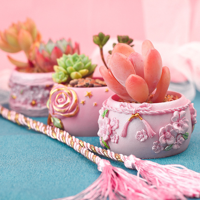 多肉植物花盆粉色少女心多肉盆家居个性桌面花卉盆栽控根控型花器