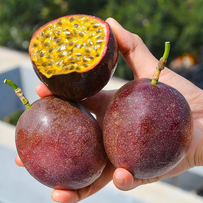 云南百香果紫皮百香果新鲜水果酸甜可口大果现摘孕妇整箱3/5斤