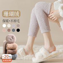 珊瑚绒护膝袜子女秋冬季加绒加厚保暖居家睡眠袜女士过膝长筒袜套