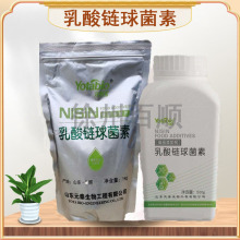 乳酸链球菌素 食品级防腐剂 保鲜剂  抗真菌剂 量大优惠