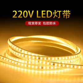 220V包胶防水灯带LED软灯条带背胶户外照明工程补光可批发