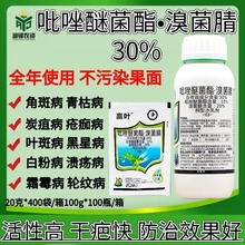 赢叶 30%吡唑醚菌酯溴菌腈杀菌剂柑橘西瓜炭疽病疮痂病霜霉病农药