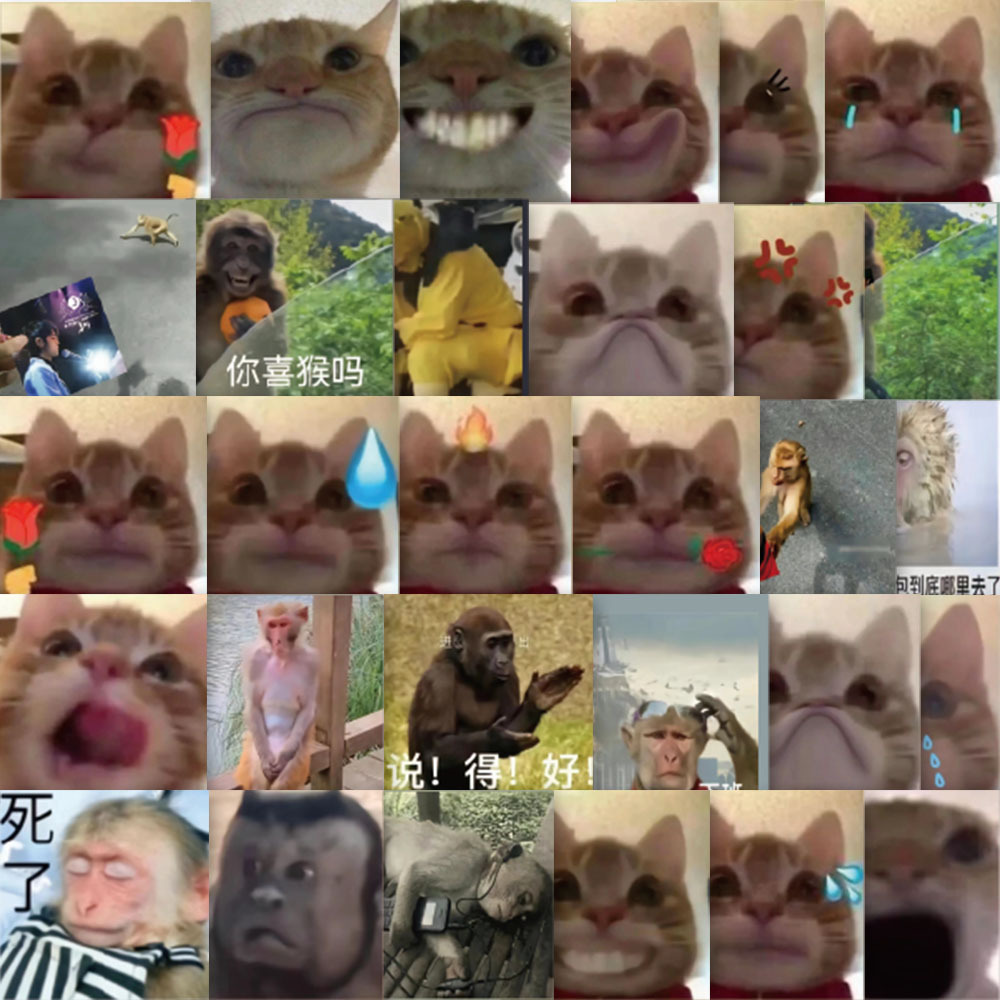 套可爱歪嘴小猫表情包猴子贴纸diy笔记本手账不干胶防水贴纸-阿里巴巴