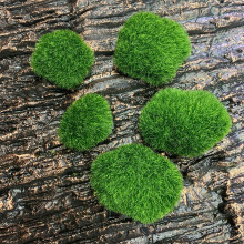 仿真毛石头苔藓球绿色青苔石块植物墙配材植绒假石头软装泡沫饰品