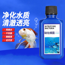 硝化细菌鱼缸用净水剂鱼药养鱼净化水质稳定剂乌龟养水族消化活菌