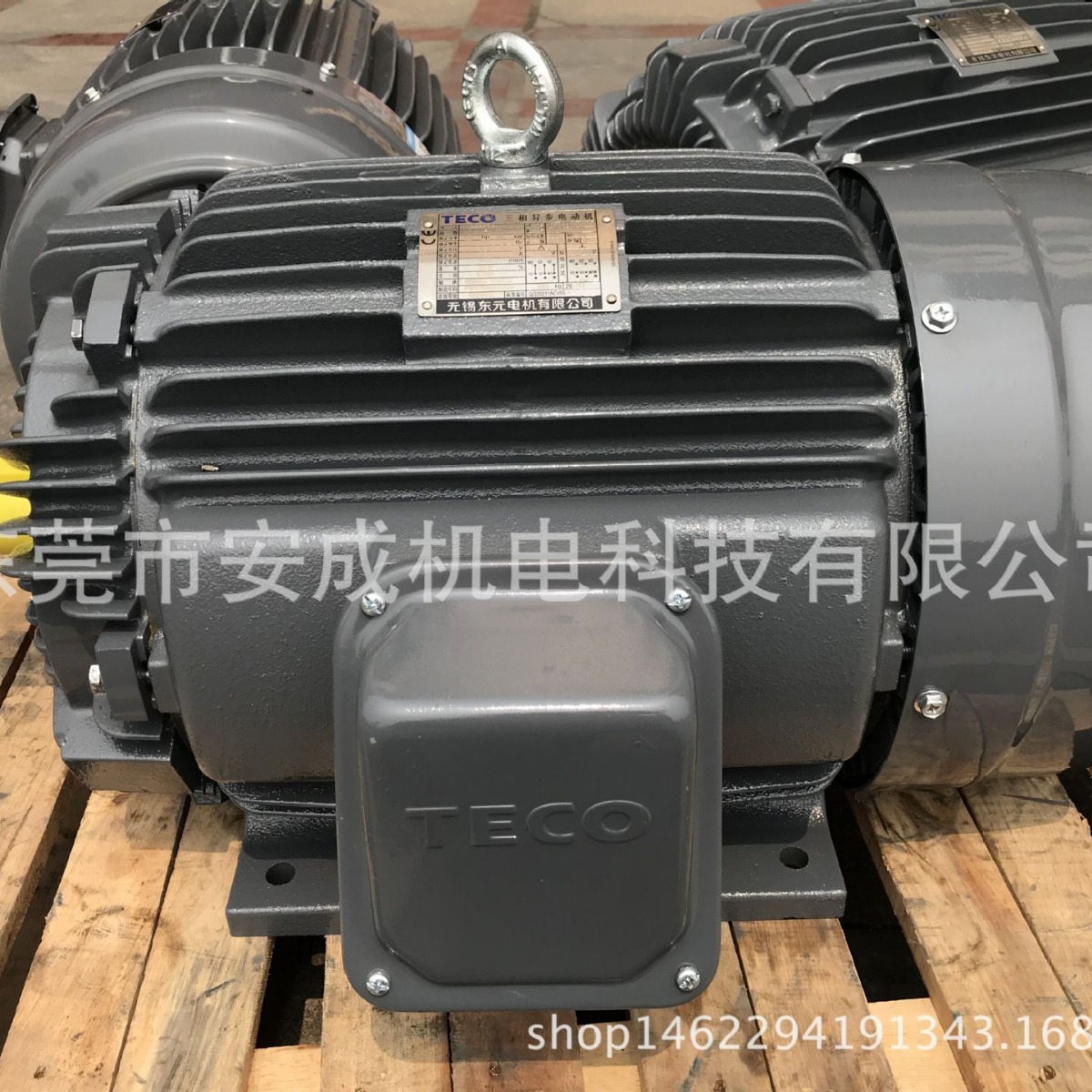 全新原装东元电机TEGH160L-4  20HP 15KW 4P AEEFF3 380V 卧式