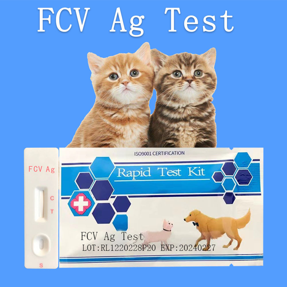 芮路宠物试纸猫杯状病毒快速诊断检测试纸卡厂家直供一件代发正品
