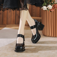 法式气质高级感玛丽珍鞋2024新款小众设计粗跟黑色方头高跟鞋女鞋