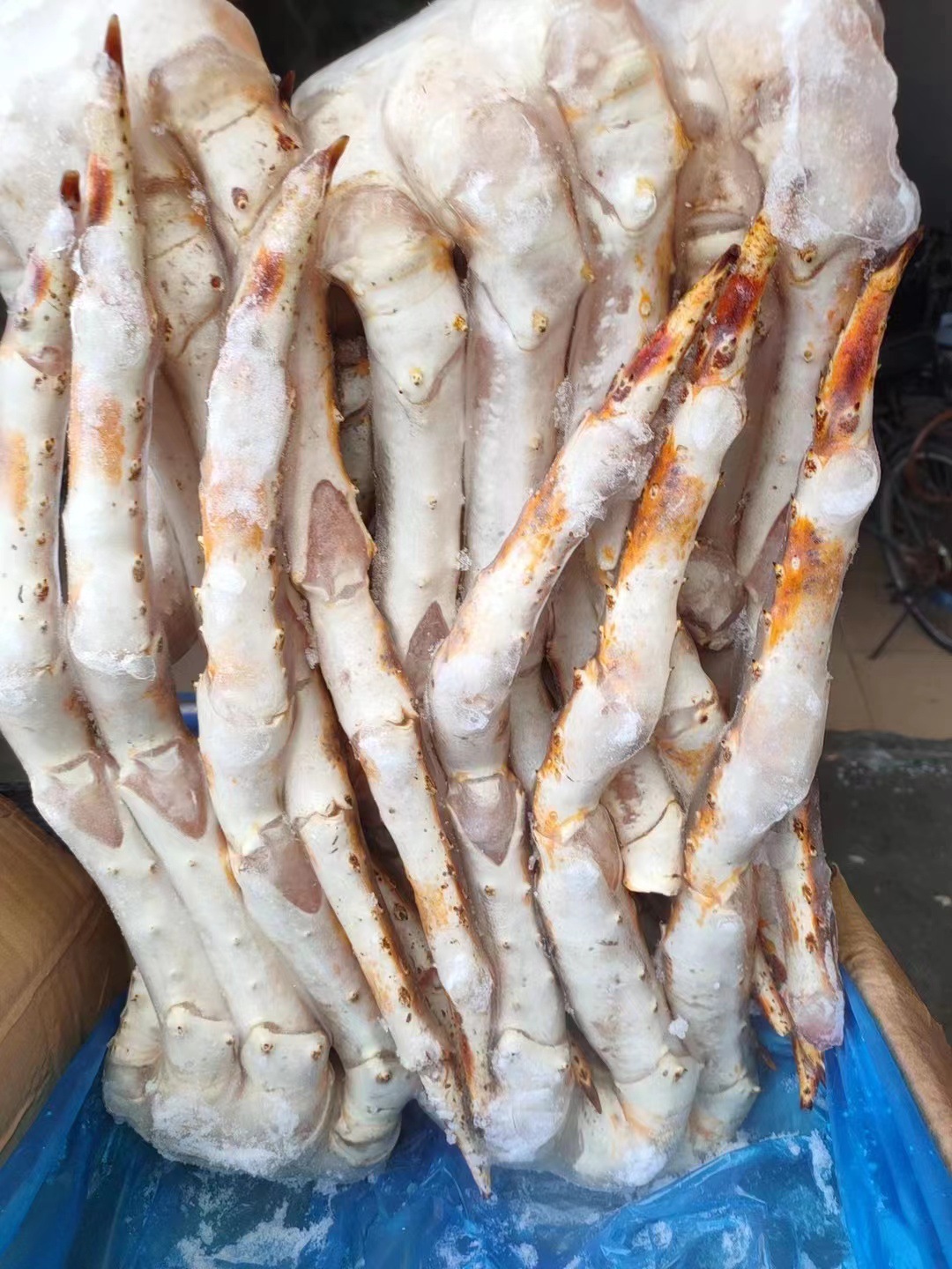 海鲜冻品阿拉斯加帝王蟹脚长脚蟹钳螃蟹钳海蟹钳蟹脚生冻帝王蟹足
