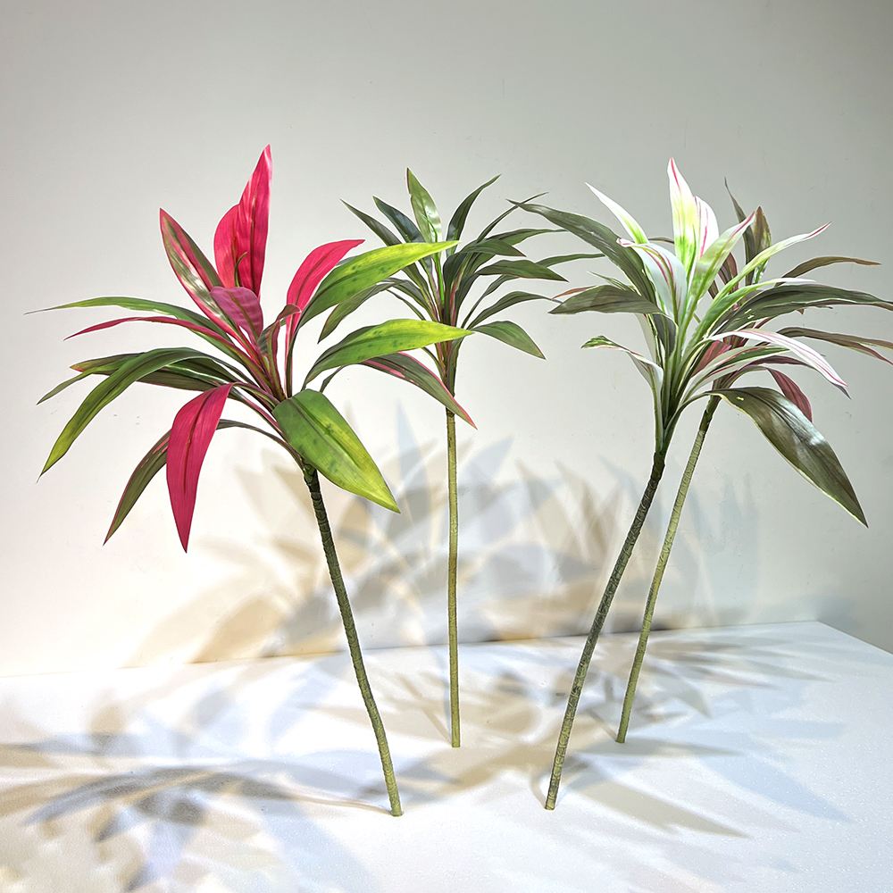 单支巴西木龙血树叶伞状绿植物室内造景茶几茶桌玄关花艺装饰