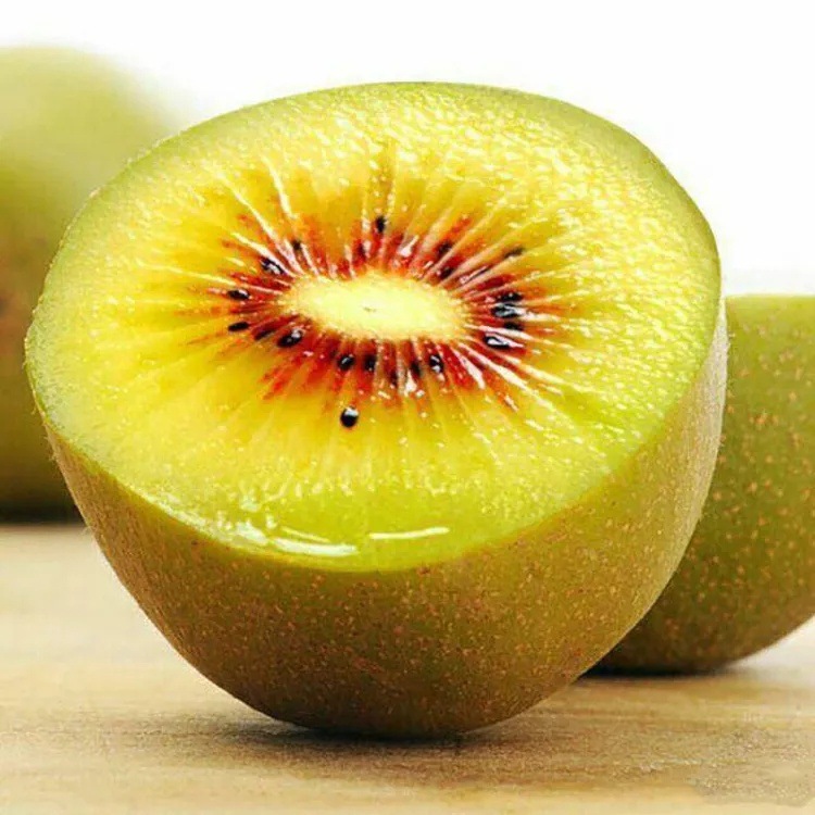 陕西眉县红心红阳猕猴桃超甜孕妇水果当季先现摘现发大果整箱包邮