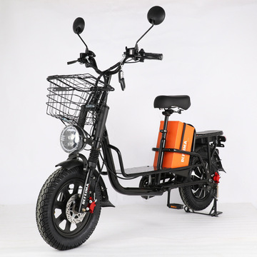 外卖电动自行车拉货载重王肥胎锂电助力电动车俄罗斯中东外贸出口