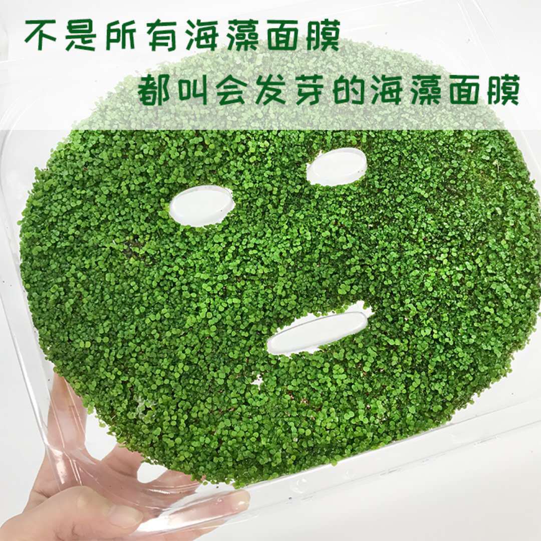 正品天然泰国超小颗粒海藻面膜10克 纯海藻籽泥补水保湿润肤