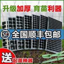 育苗盆种植塑料秧盘营养钵育苗器托盘扦插育种多肉育苗盘穴盘