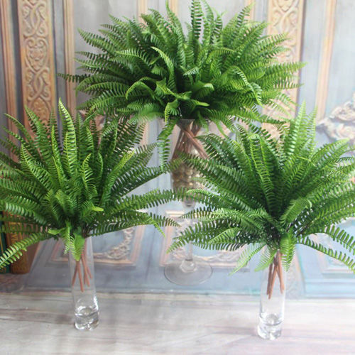 假绿植蕨类植物波斯草婚庆花艺背景墙插花装饰叶子绿萝金钱草