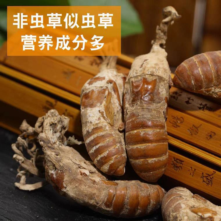 中药材野生金蝉花 新货大别山竹林蝉花知了花大虫草蛹虫草滋补