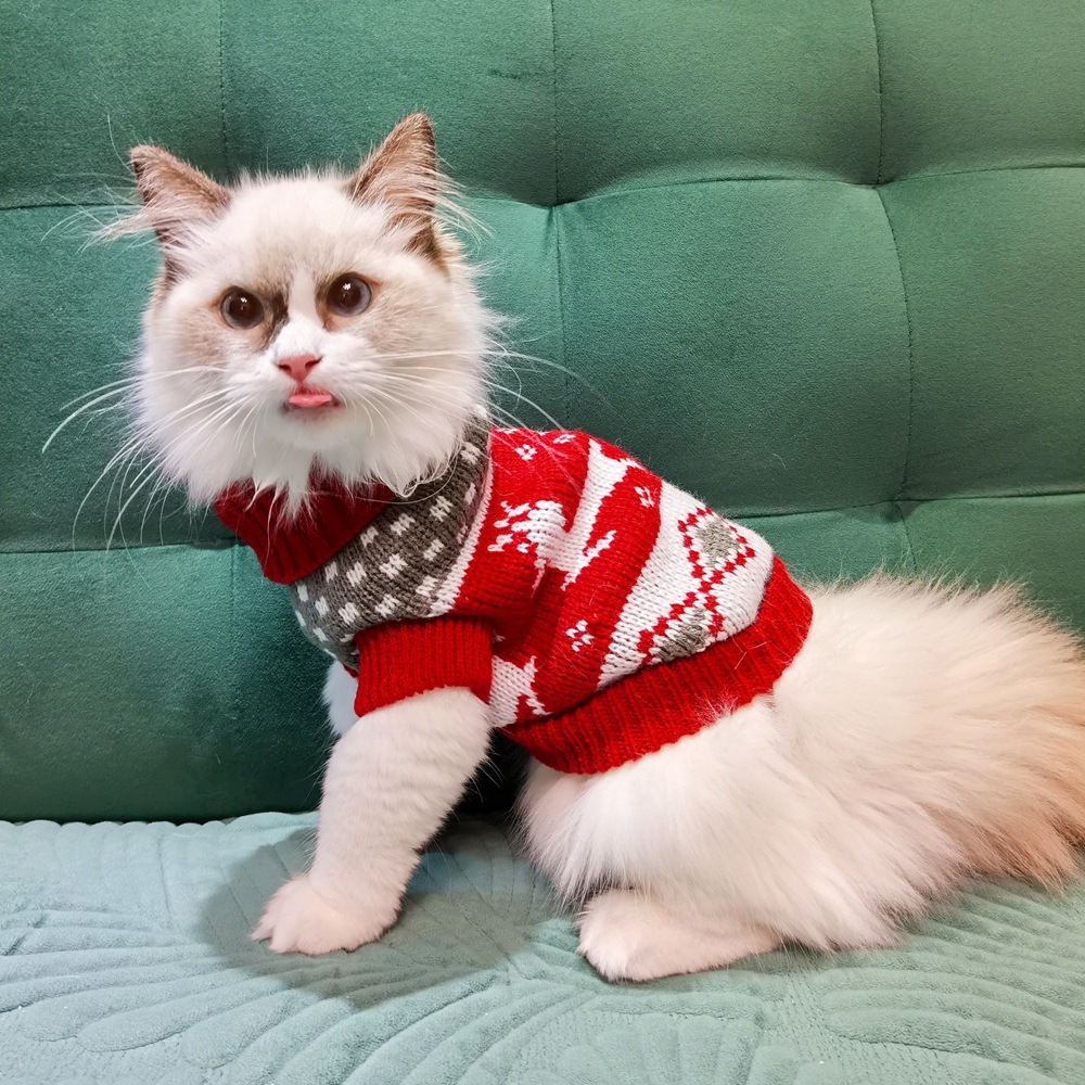 猫咪衣服新年防掉毛小猫猫英短蓝猫幼猫宠物红色冬季保暖毛衣冬装