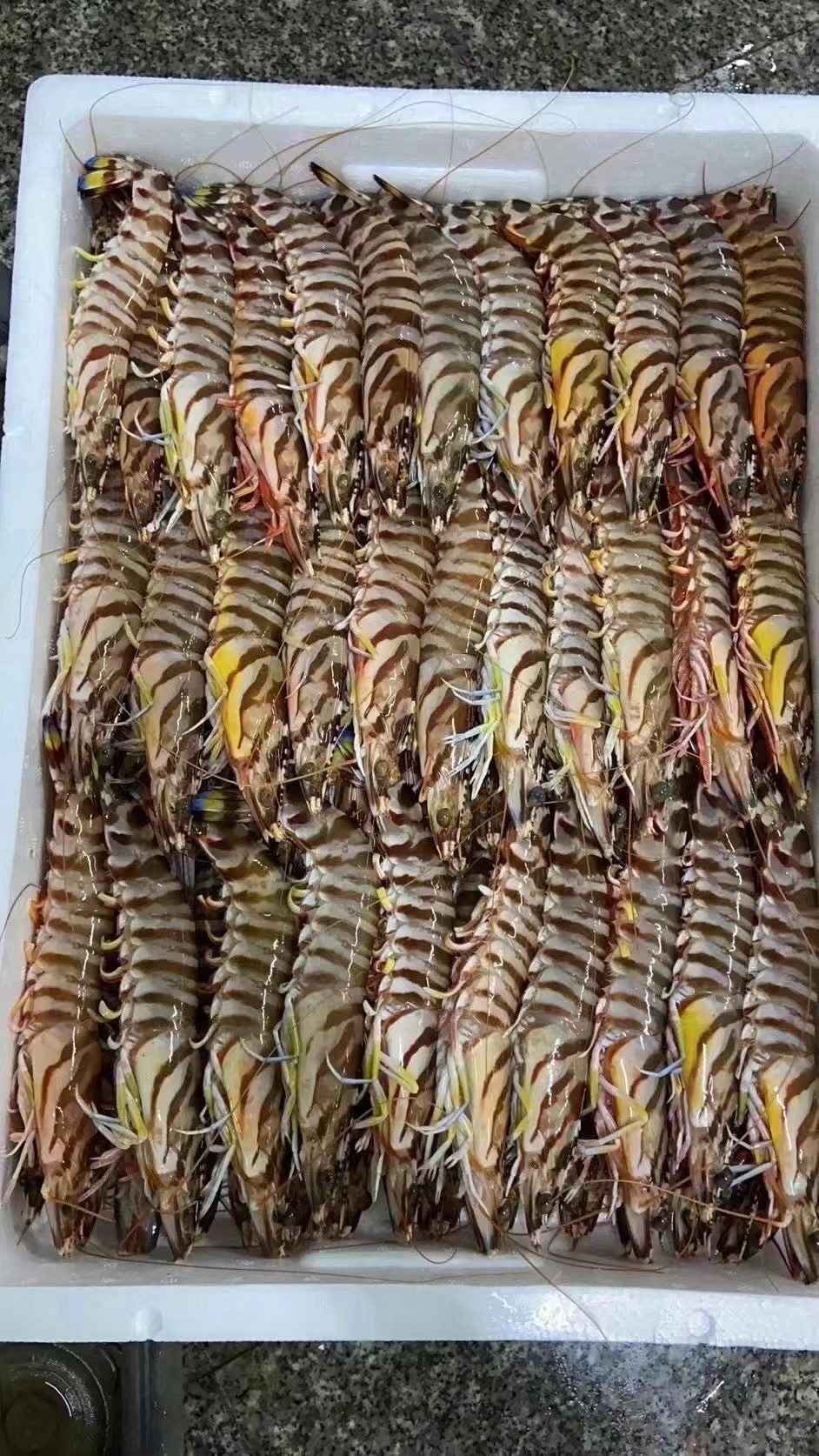 斑节虾大号九节虾海虾海鲜冷冻竹节虾大明虾350g